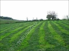 İthal Yapay Çayır Mera Tohumu 9 Mix