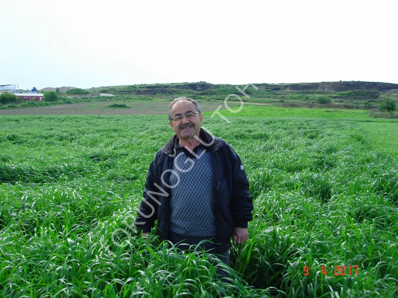 Kaba Yemler