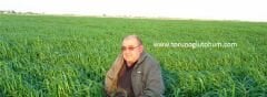 Ryegrass Tohumu İthal Orjinal 3 KG