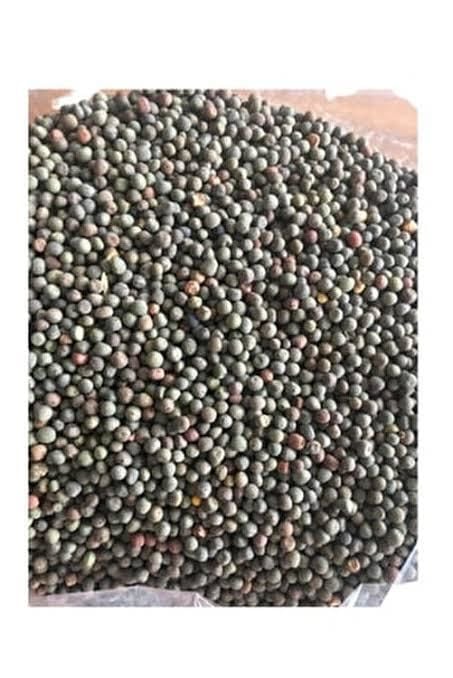 Macar Fiğ Tohumu 25 Kg Sertifikalı