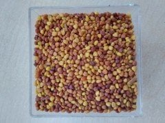 Ak Üçgül Tohumu Süs Yoncası