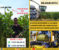 Silajlık Soya Tohumu 25 Kg