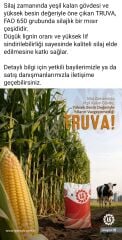 Truva Silajlık Mısır Tohumu