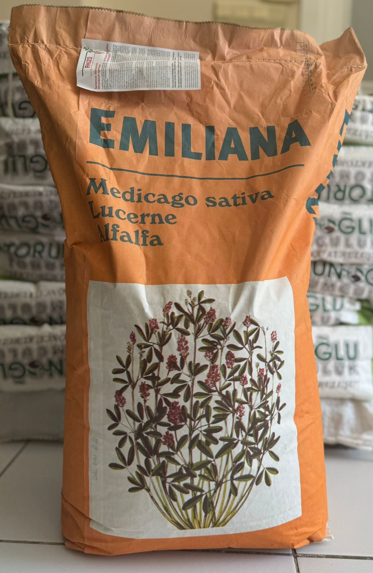 İtalyan Emiliana Yonca Tohumu - Rhizobium Bakteri Kaplı 25 KG