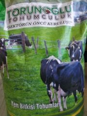 İthal Yapay Çayır Mera Tohumu 9 Mix 10 KG