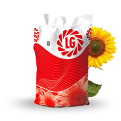 LG 5485 Yağlık Ayçiçeği Tohumu ( Hibrit )