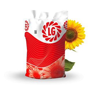 LG 50.635 Yağlık Ayçiçeği Tohumu