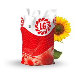 LG 50.635 Yağlık Ayçiçeği Tohumu