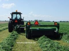 Çıplak İtalyan Yoncası Os 66