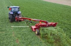 Çıplak İtalyan Yoncası Os 66