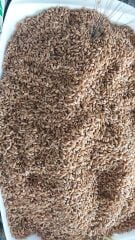 Karakılçık Buğday Tohumu