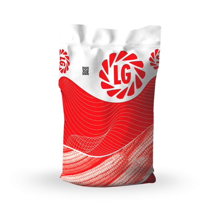 LG 30.701  Danelik ve sılajlık Mısır Tohumu