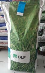 Festuca Rubra Commutata (Adi Kırmızı Yumak)Çim Tohumu