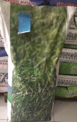 Festuca Ovina (Mavi Koyun Yumağı) Çim Tohumu