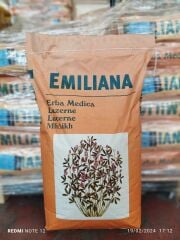 Emiliana Çıplak Kapsız Yonca Tohumu