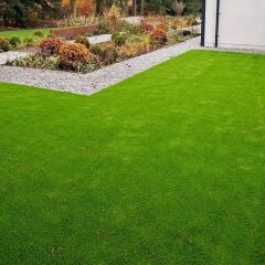 Ekonomik 6 Karışım Çim Tohumu