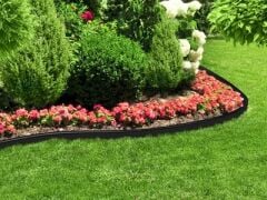 Ekonomik 6 Karışım Çim Tohumu