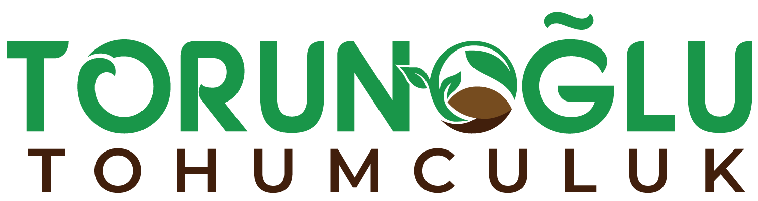 Şeker Sorgumu Tohumu İthal